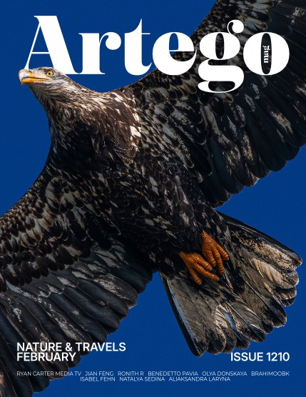 ARTEGO MAGAZINE - NATURE & TRAVELS FEBRUARY ISSUE 1210, page 1