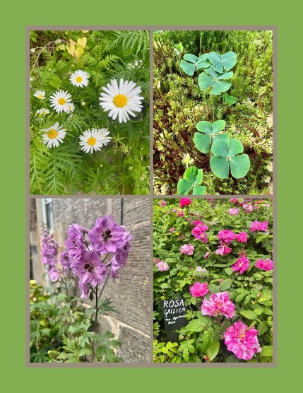 Bold & Beyond Nature (Issue 517 September 2025), page 3