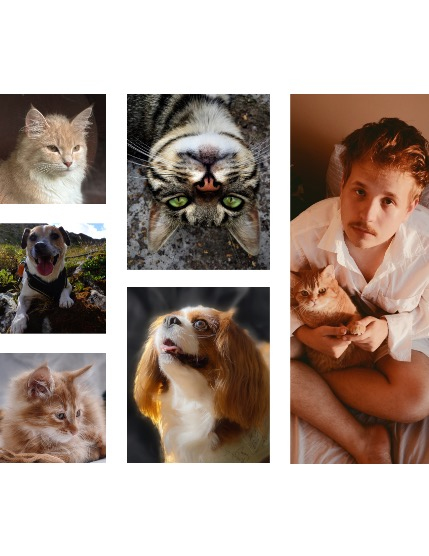 FIGGI MAGAZINE - LOVELY PETS SEPTEMBER (Vol 1773), page 2