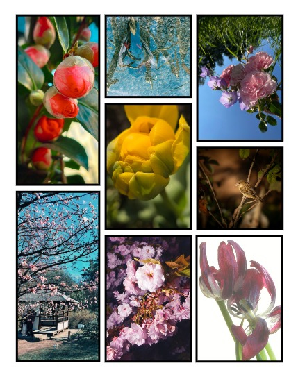 ARTEGO MAGAZINE - NATURE & TRAVELS MAY ISSUE 1347, page 3