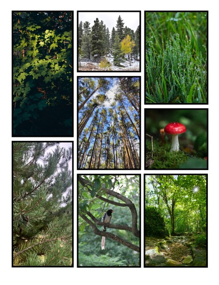 ARTEGO MAGAZINE - NATURE & TRAVELS OCTOBER ISSUE 1071, page 3