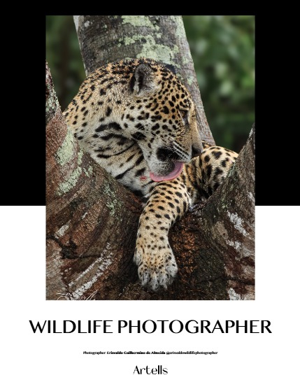 ARTELLS MAGAZINE - NATURE & TRAVELS JANUARY (Vol 3808), page 4