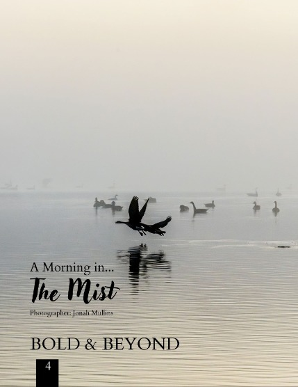 Bold & Beyond Nature (Issue 619 November 2025), page 4