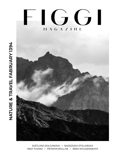 FIGGI MAGAZINE - NATURE & TRAVEL FEBRUARY (Vol 1394), page 1