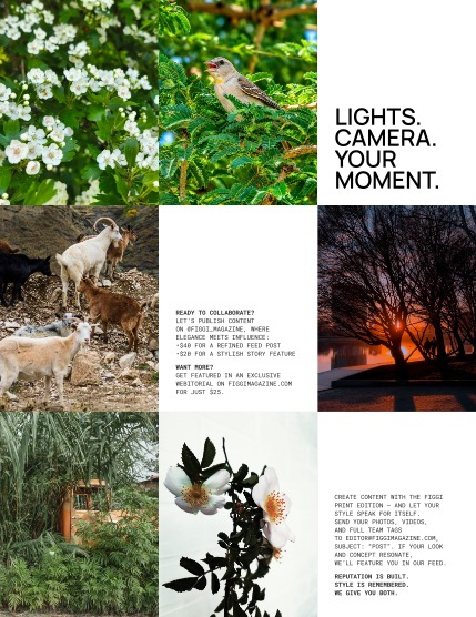 FIGGI MAGAZINE - NATURE & TRAVEL JUNE (Vol 2196), page 3
