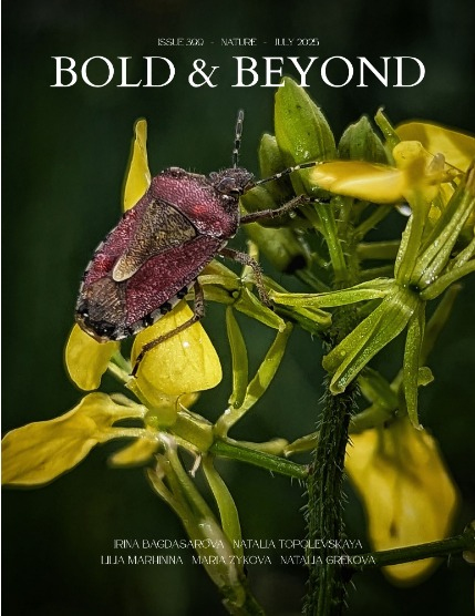 Bold & Beyond Nature (Issue 399 July 2025), page 1