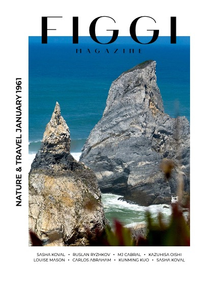 FIGGI MAGAZINE - NATURE & TRAVEL JANUARY (Vol 1961), page 1
