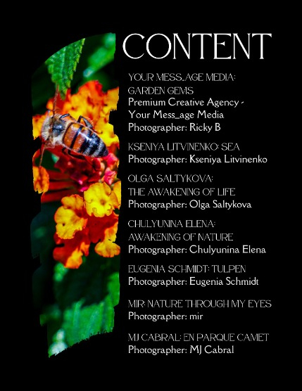 Bold & Beyond Nature (Issue 268 May 2025), page 2