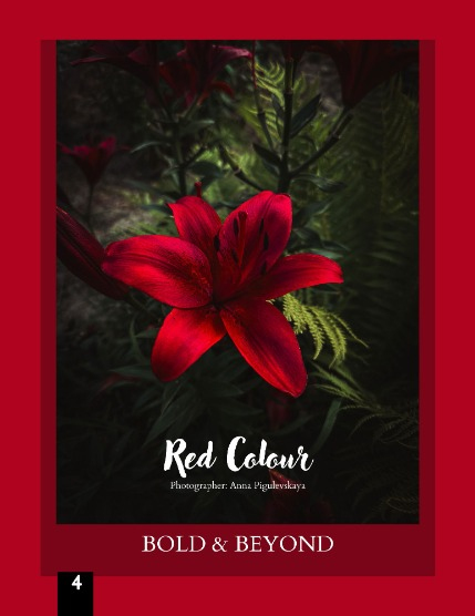Bold & Beyond Nature (Issue 473 August 2025), page 4