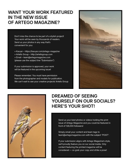 ARTEGO MAGAZINE - NATURE & TRAVELS AUGUST ISSUE 985, page 4