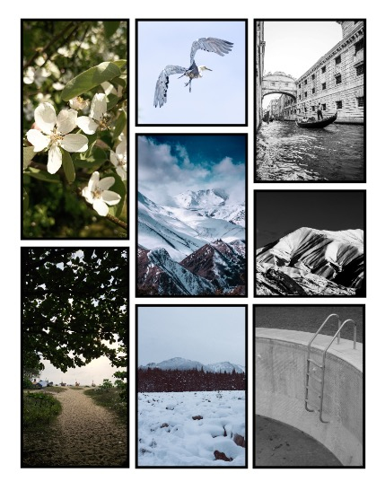 ARTEGO MAGAZINE - NATURE & TRAVELS JUNE ISSUE 1382, page 3