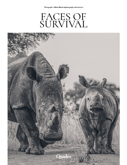 QUADRO MAGAZINE - NATURE & TRAVEL JUNE (Vol 1626), page 4