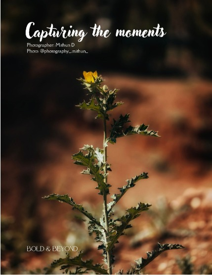 Bold & Beyond Nature (Issue 172 April 2025), page 4
