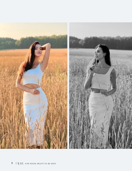 CALARE Vol 002, page 8