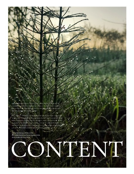 QUADRO MAGAZINE - EMOTIONS. ART. FASHION MAY (Vol 1016), page 2