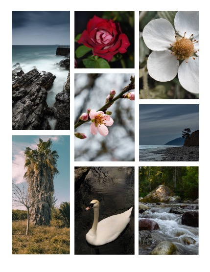 ARTEGO MAGAZINE - NATURE & TRAVELS MARCH ISSUE 741, page 3