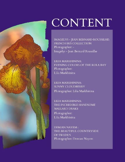 Bold & Beyond Nature (Issue 508 September 2025), page 2