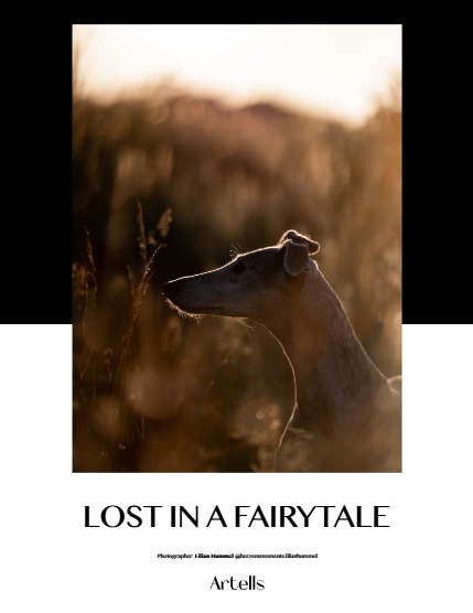 ARTELLS MAGAZINE - NATURE & TRAVELS APRIL (Vol 3983), page 4