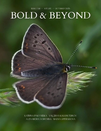 Bold & Beyond Nature (Issue 591 October 2025), page 1