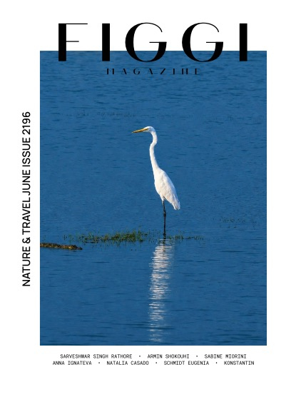 FIGGI MAGAZINE - NATURE & TRAVEL JUNE (Vol 2196), page 1