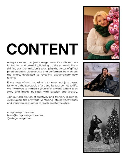 ARTEGO MAGAZINE - CHRISTMAS JANUARY ISSUE 1185, page 2