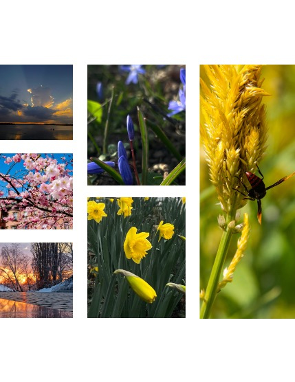 FIGGI MAGAZINE - NATURE & TRAVEL APRIL (Vol 2104), page 2