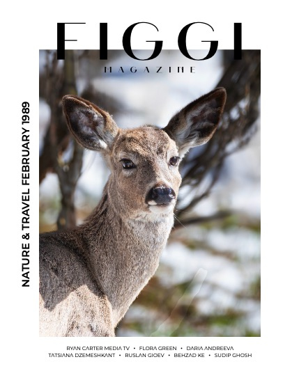 FIGGI MAGAZINE - NATURE & TRAVEL FEBRUARY (Vol 1989), page 1