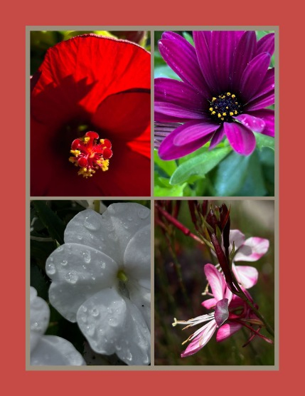 Bold & Beyond Nature (Issue 540 September 2025), page 3