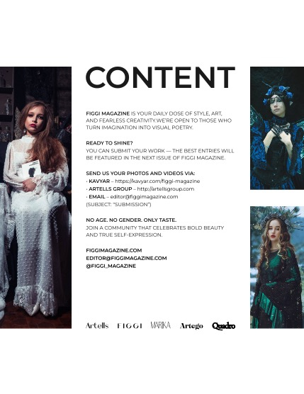 FIGGI MAGAZINE - FANTASY & AI FEBRUARY (Vol 2008), page 3