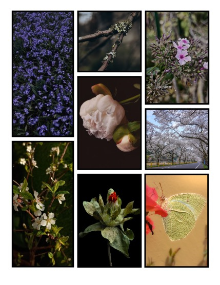 ARTEGO MAGAZINE - NATURE & TRAVELS DECEMBER ISSUE 1151, page 3