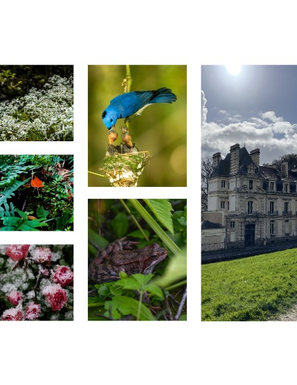 FIGGI MAGAZINE - NATURE & TRAVEL DECEMBER (Vol 1917), page 2