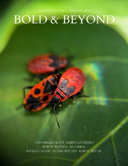 Bold & Beyond Nature (Issue 787 February 2026), page 1