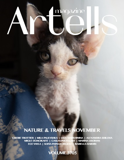 ARTELLS MAGAZINE - NATURE & TRAVELS NOVEMBER (Vol 3705), page 1