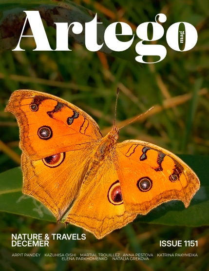 ARTEGO MAGAZINE - NATURE & TRAVELS DECEMBER ISSUE 1151, page 1