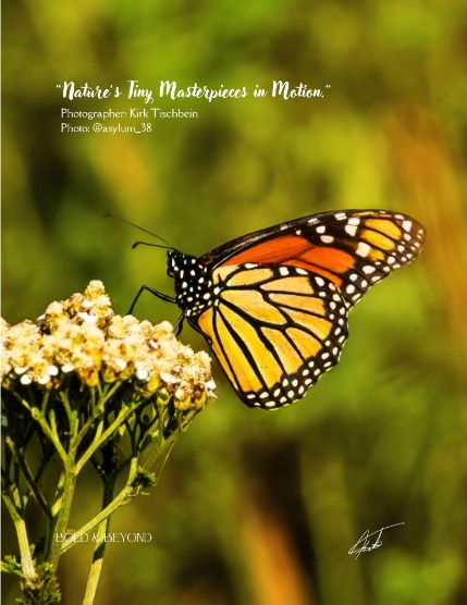 Bold & Beyond Nature (Issue 166 March 2025), page 4