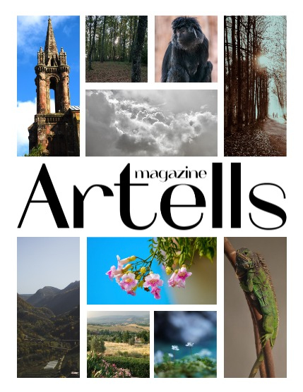 ARTELLS MAGAZINE - NATURE & TRAVELS DECEMBER (Vol 3760), page 2