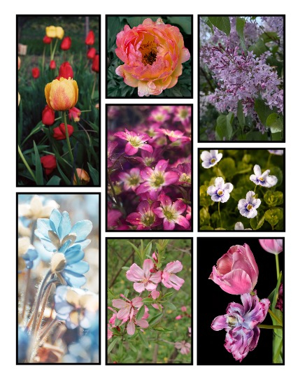 ARTEGO MAGAZINE - NATURE & TRAVELS JUNE ISSUE 1383, page 3