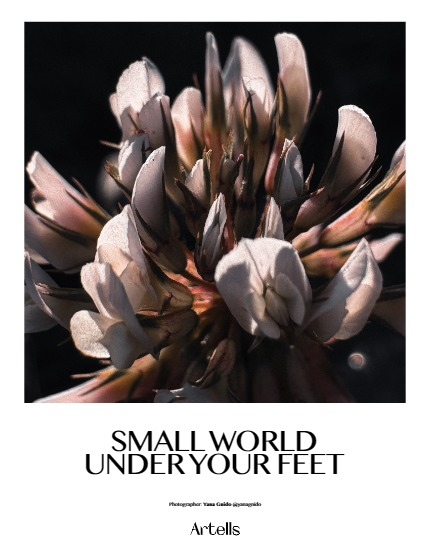 ARTELLS MAGAZINE - NATURE & TRAVEL SEPTEMBER (Vol 3560), page 4