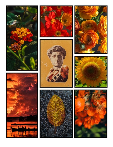 ARTEGO MAGAZINE - NATURE & TRAVELS JULY ISSUE 1428, page 3