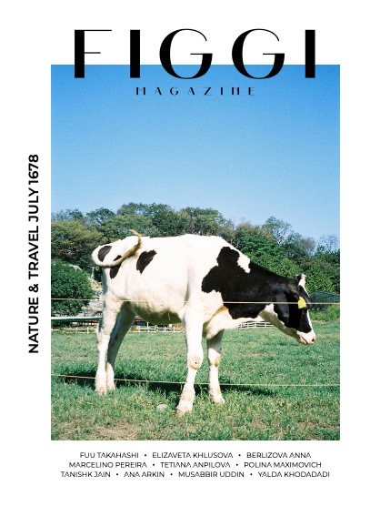 FIGGI MAGAZINE - NATURE & TRAVEL JULY (Vol 1678), page 1