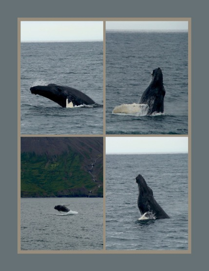 Bold & Beyond Nature (Issue 529 September 2025), page 3