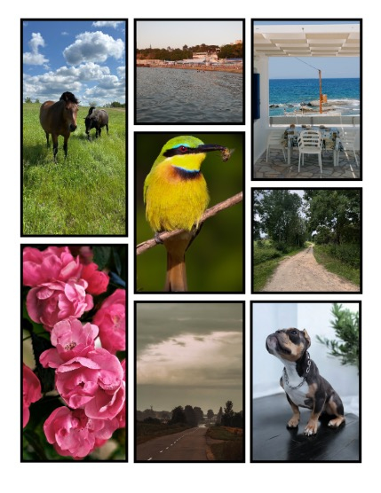 ARTEGO MAGAZINE - NATURE & TRAVELS SEPTEMBER ISSUE 1037, page 3