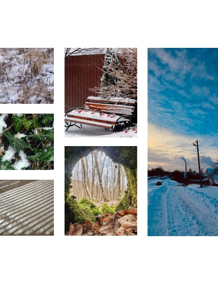 FIGGI MAGAZINE - NATURE & TRAVEL FEBRUARY (Vol 1990), page 2