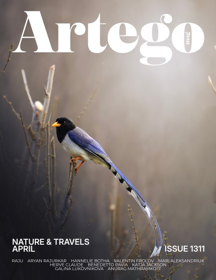 ARTEGO MAGAZINE - NATURE & TRAVELS APRIL ISSUE 1311, page 1