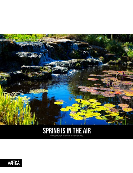 MARIKA MAGAZINE NATURE & TRAVELS (ISSUE 5630 - APRIL), page 4