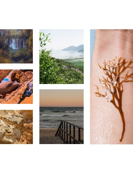 FIGGI MAGAZINE - NATURE & TRAVEL AUGUST (Vol 1729), page 2