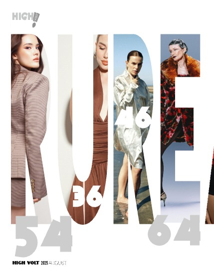 HIGH VOLT Issue: #215, page 4