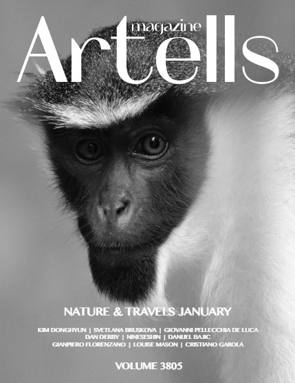 ARTELLS MAGAZINE - NATURE & TRAVELS JANUARY (Vol 3805), page 1