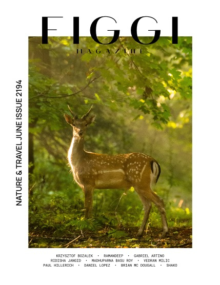 FIGGI MAGAZINE - NATURE & TRAVEL JUNE (Vol 2194), page 1