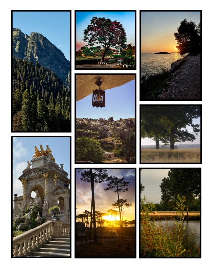 ARTEGO MAGAZINE - NATURE & TRAVELS JULY ISSUE 1429, page 3